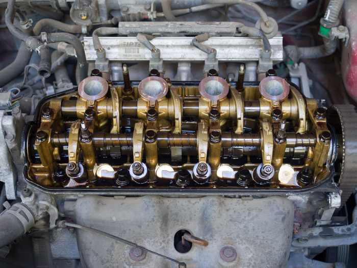 Honda four cylinder engine with valve cover gasket removed showing cams and adjusters.